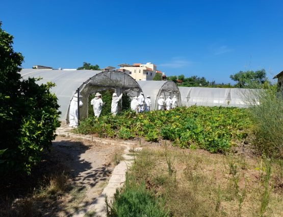 Sabra Trip to Tyre - July 23 - 4