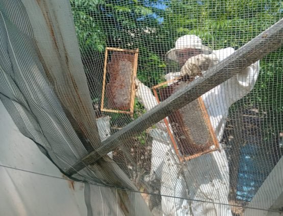 Sabra Trip to Tyre - July 23 - 5