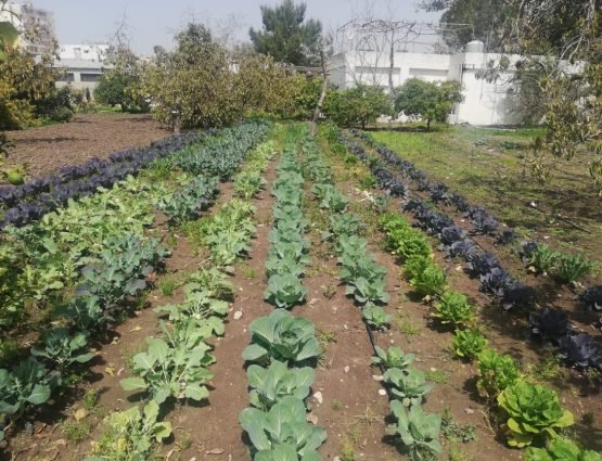 Tyre-Farm-External-1