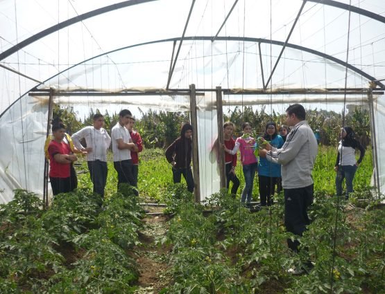 Tyre-Farm---Students-Field-visit
